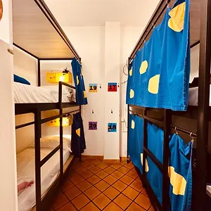 Il Nosadillo - Bolonia